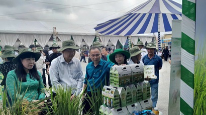 Ngày hội nông dân trồng lúa 2026