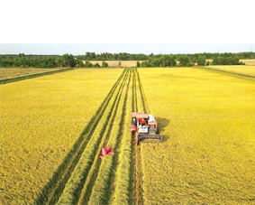 Ngành nông nghiệp triển khai kế hoạch giảm phát thải trong trồng trọt đến năm 2050